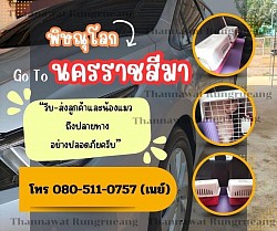 ส่งสัตว์เลี้ยง พิษณุโลก-นครราชสีมา